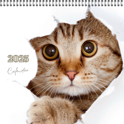 Calendar 2025 Cute Cats